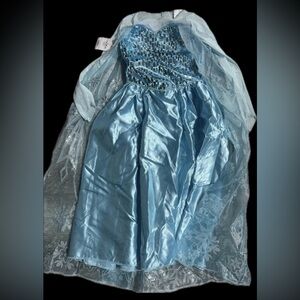 Exquisite Disney Frozen Queen Elsa Dress Size 6/6x Absolutely Stunning Details!!